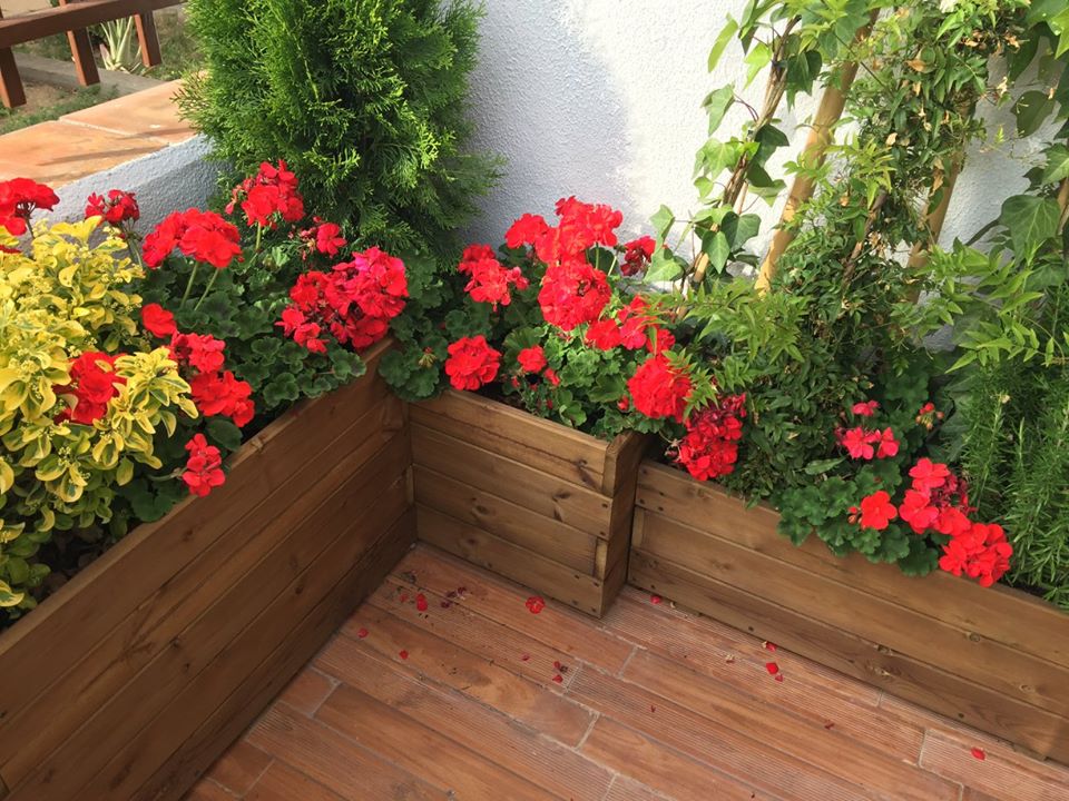 jardineras 