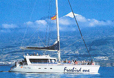 Collaborations grands catamarans Vplp