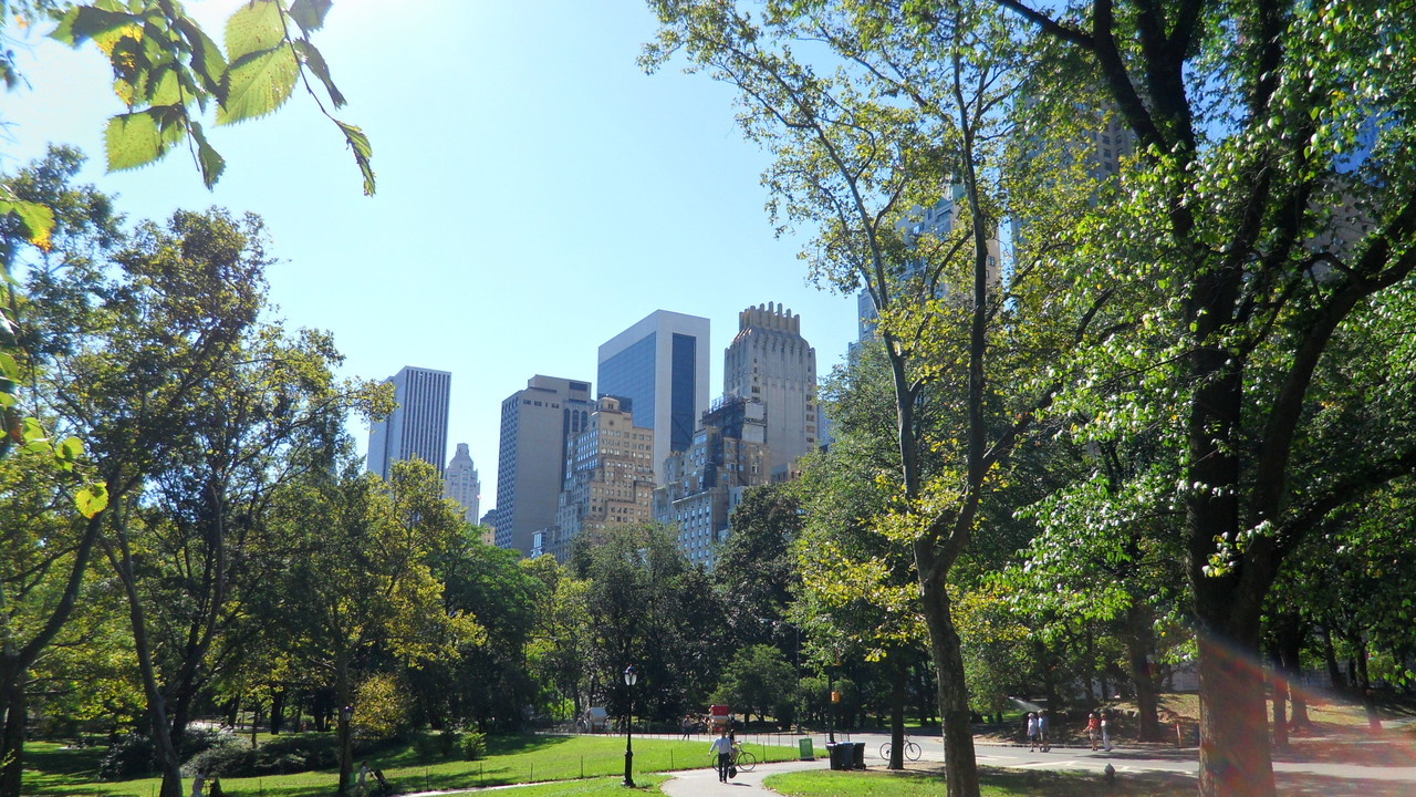 @Central Park