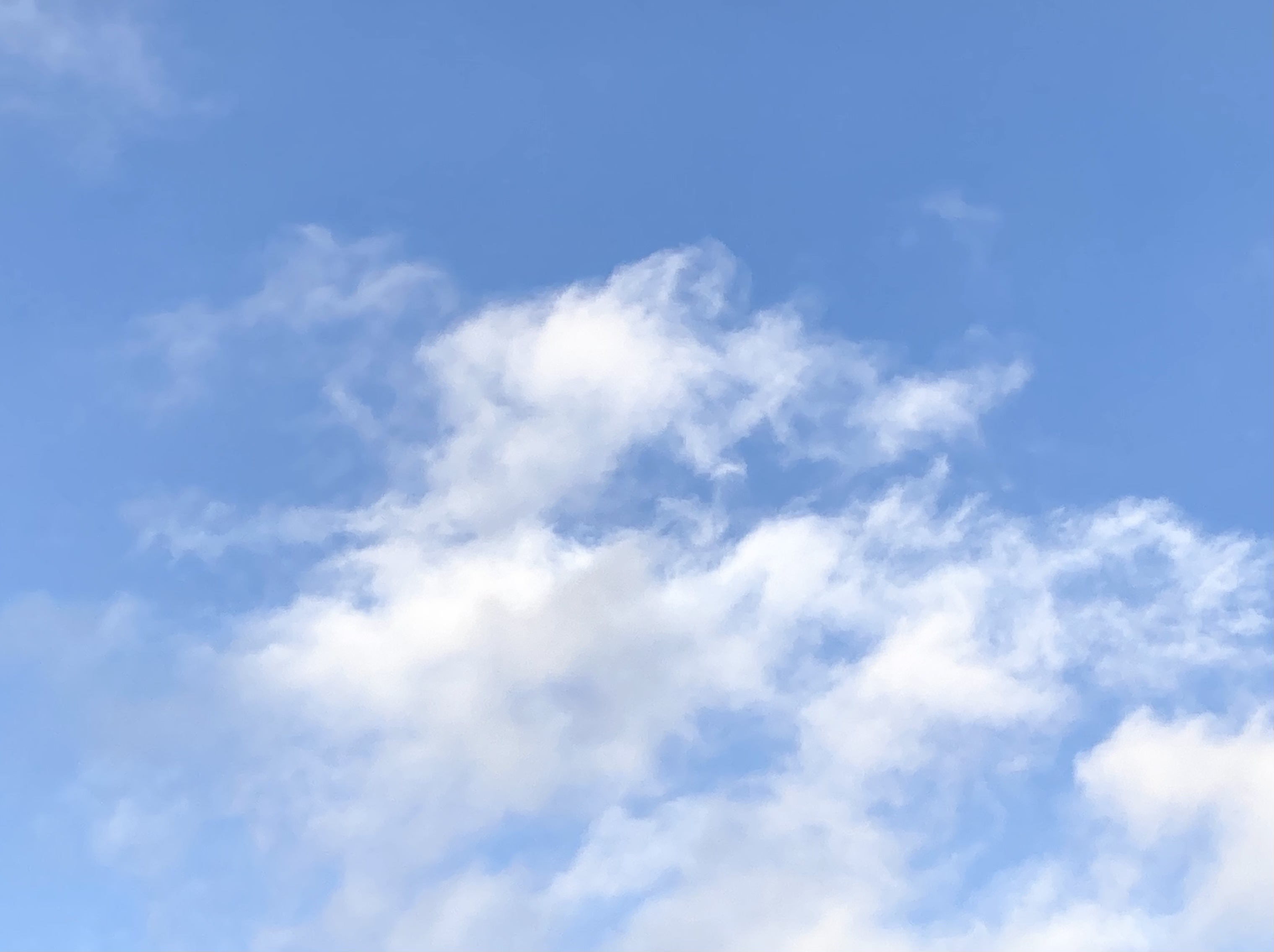 私の懲罰