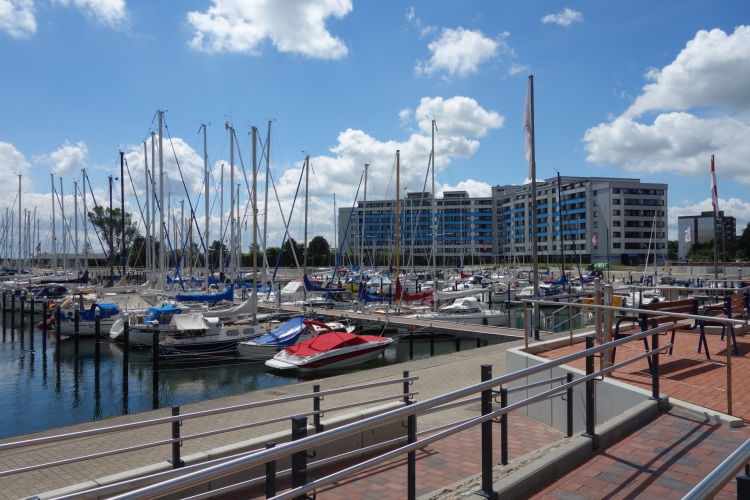 Der Hafen in Damp