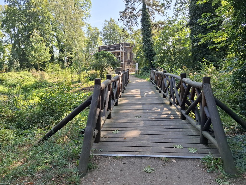 Eine alte Holzbrücke führt über einen kleinen Graben im Wald