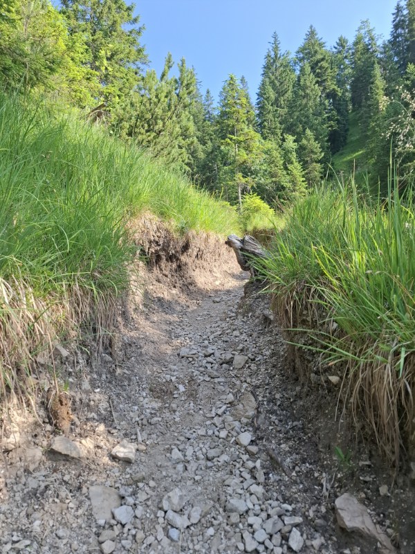 Bergpfad Wanderung Wank