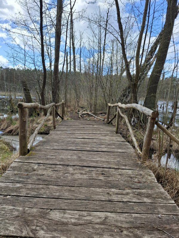 Brücke Teufelsmoor Sandau
