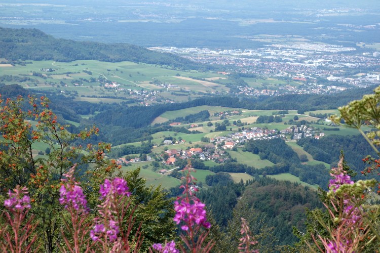 Atemberaubende Panorama-Aussicht vom Schauinsland-Gipfel über die bewaldeten Berge des Schwarzwalds