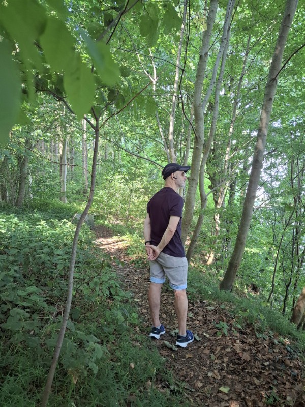Waldpfad Steilküste Eckernförde Altenhof 