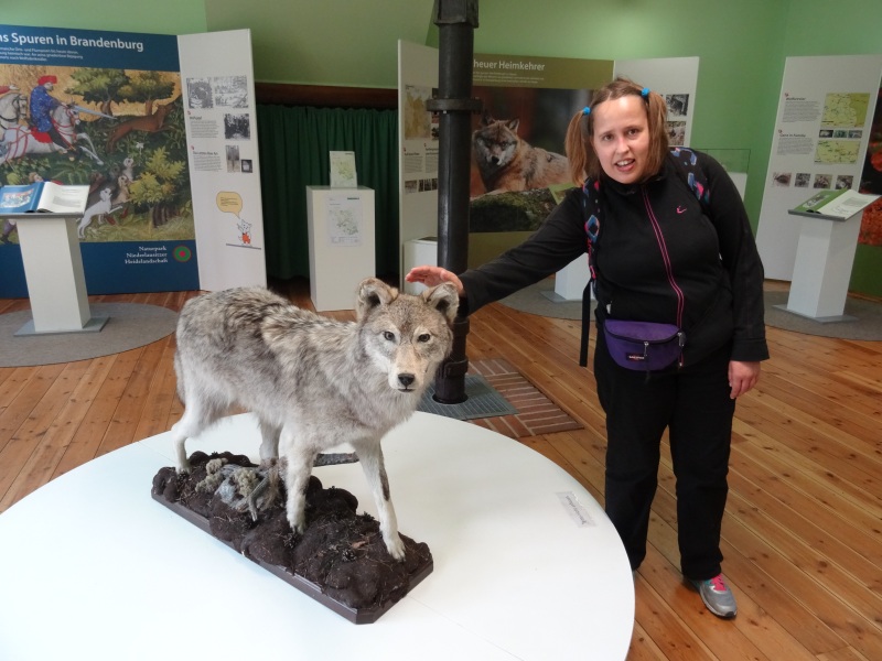 Besucherin im Naturparkzentrum Raben, das Informationen zur Region und zur Burg bietet