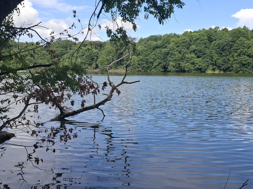 See Krumme Lanke