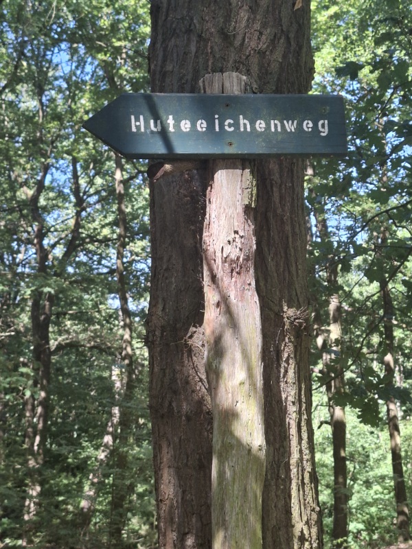 Schild Hiteeichenweg