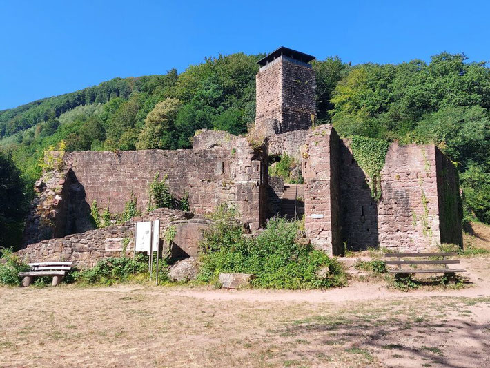 Die beeindruckende Ruine der Hinterburg mit ihrem markanten, hohen Bergfried