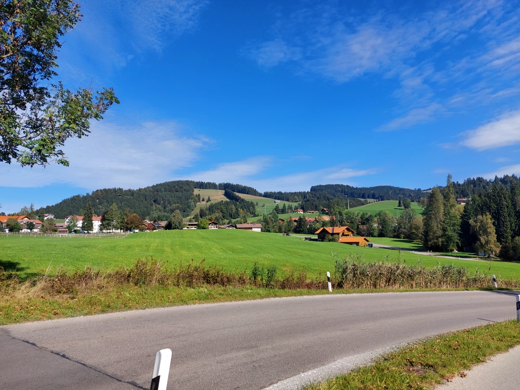Eine saftig grüne Wiese mit einem Wanderweg, der in die Allgäuer Berglandschaft führt