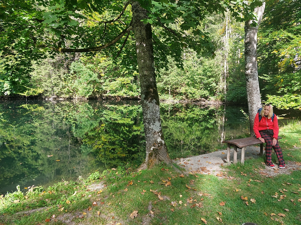 Ein bewaldeter Uferweg am Lech lädt zum Spazierengehen ein