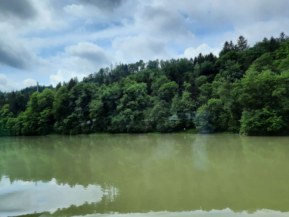 Blick auf die bewaldeten Hänge und das grüne Ufer entlang der Donau