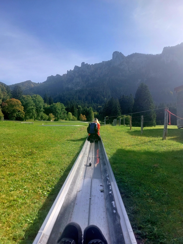 Rasanter Fahrspaß auf der Sommerrodelbahn am Tegelberg in Schwangau