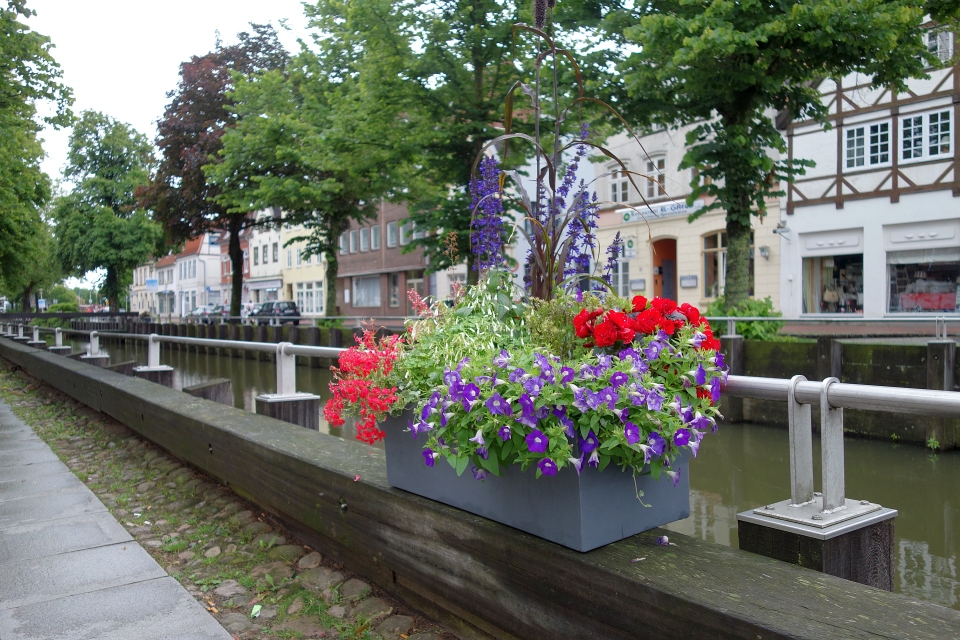 Farbenfrohe Blumenkästen vor historischer Kulisse am Fleth