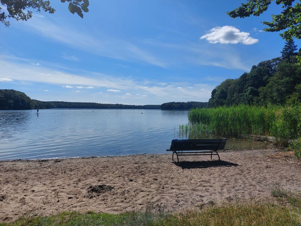 Ein sonniger Blick auf das Wasser des Großen Stechlinsees