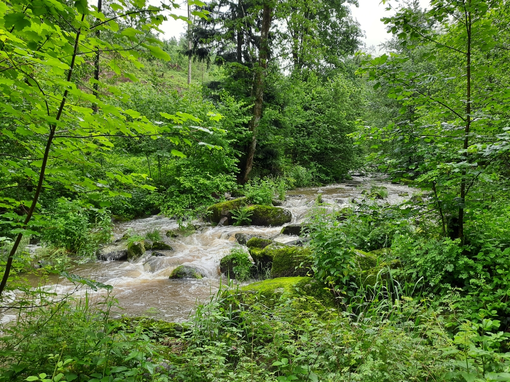 Große Granitfelsen liegen im Flussbett des Saußbachs inmitten grüner Natur