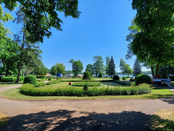 Grüner Stadtpark mit Bäumen und Gehwegen