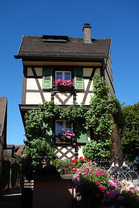 Ein besonders schönes, schmales Fachwerkhaus mit reichem Blumenschmuck und grünen Fensterläden
