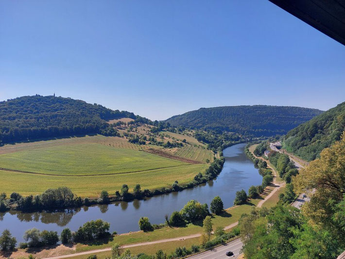 Blick von oben auf das idyllische Neckartal mit dem Flussverlauf und den grünen Uferlandschaften