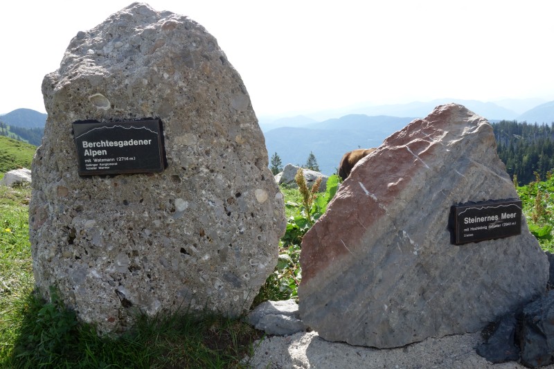 Gemütliche Einkehr auf einer der sonnigen Almhütten im Chiemgau