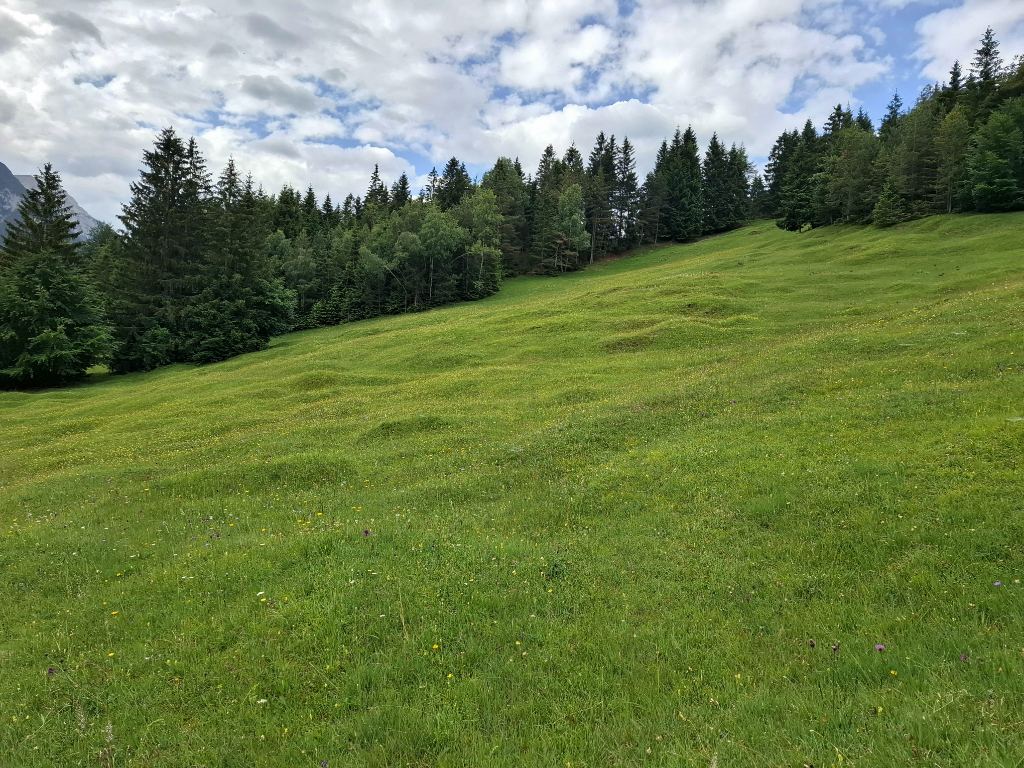 Buckelwiesen zwischen Mittenwald und Klais