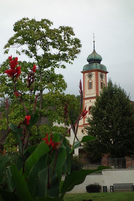 Blick durch leuchtend rote Blumen auf den historischen Kirchturm von Bad Bellingen unter bewölktem Himmel