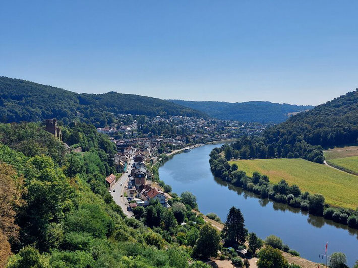 Weite Panorama-Aussicht von den Burgen auf die markante Neckarschleife und die bewaldeten Hügel des Odenwalde