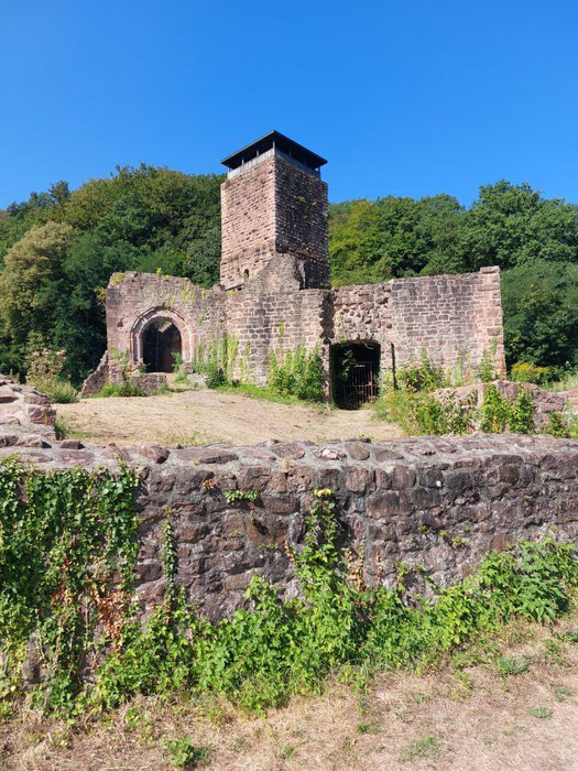 Die weiten Überreste der Hinterburg, die einen Einblick in die einstige Größe der Anlage geben