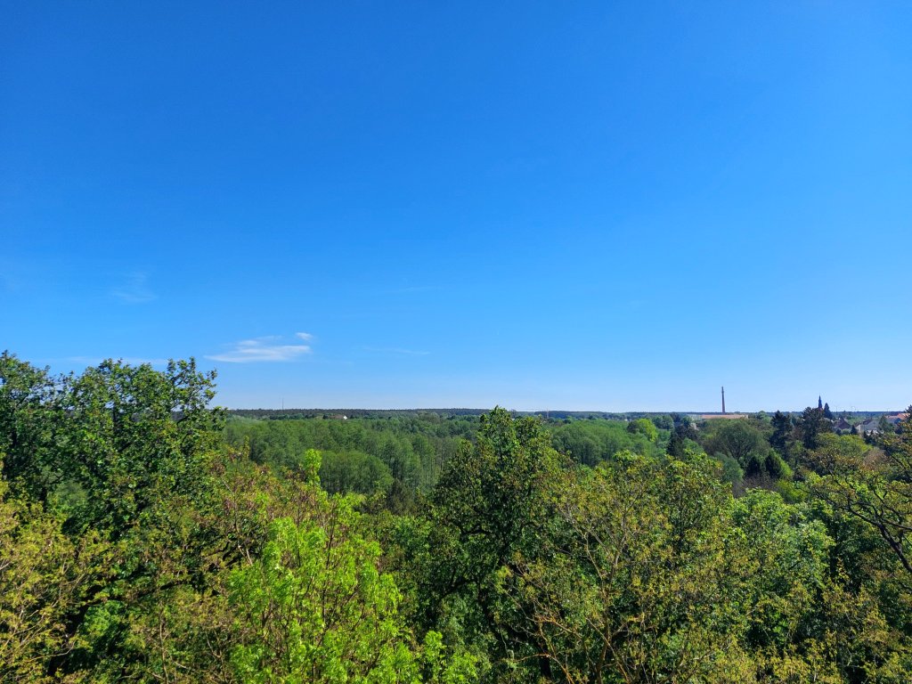 Ein weiter Panoramablick vom Kaiser-Friedrich-Turm über die Wälder von Brandenburg