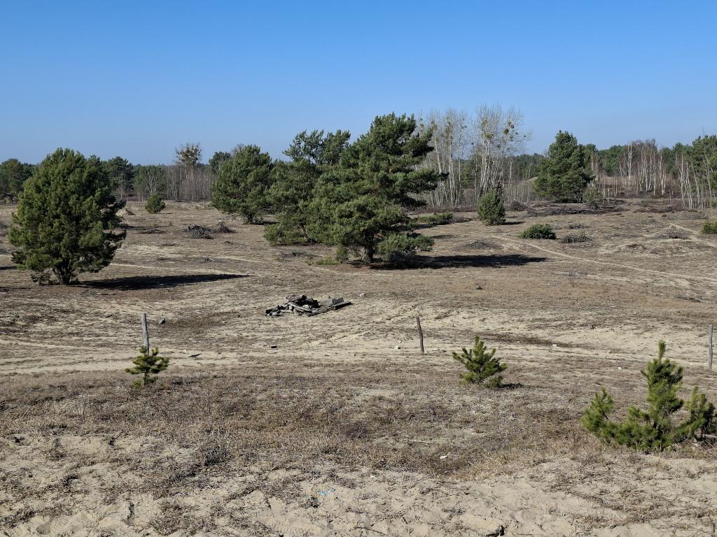 Schönower Heide