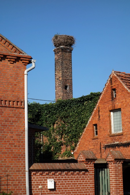 Storchennest. 