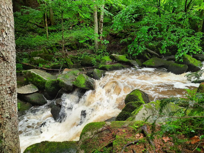 Kleine Wasserfälle und Stromschnellen des Saußbachs zwischen moosbedeckten Steinen