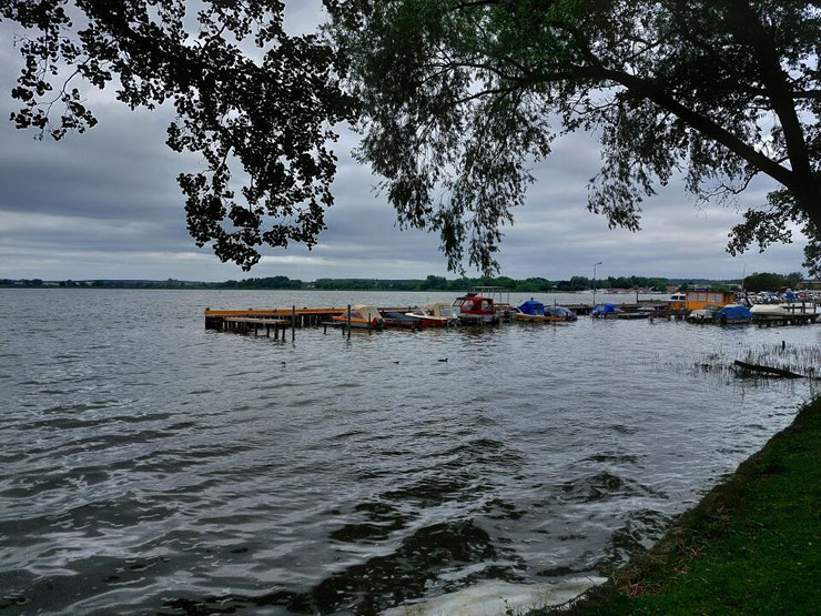 Blick vom Ufer auf den Zierker See mit einem hölzernen Steg im Hintergrund