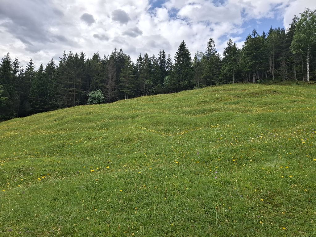 Buckelwiesen bei Mittenwald