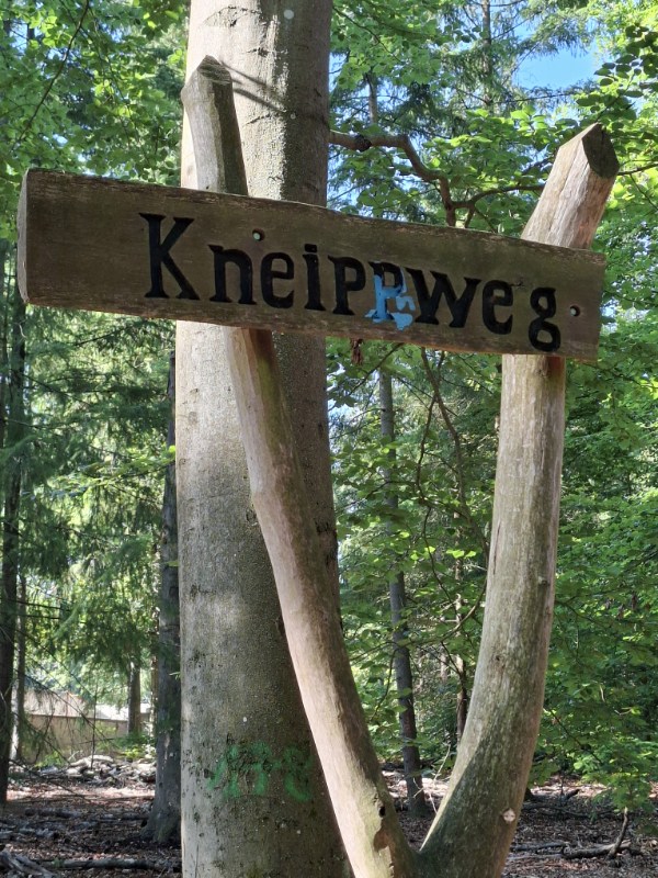 Kneippweg Düppeler Forst