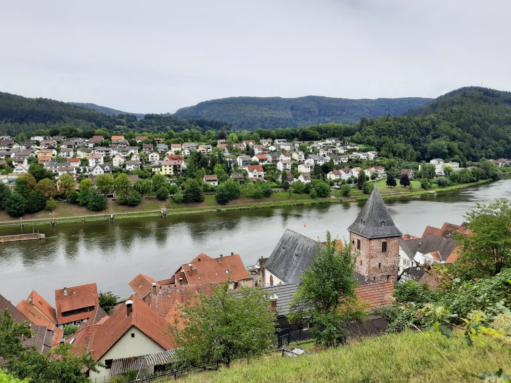 Weitblick über die roten Dächer der Altstadt von Hirschhorn auf den gewundenen Neckar.