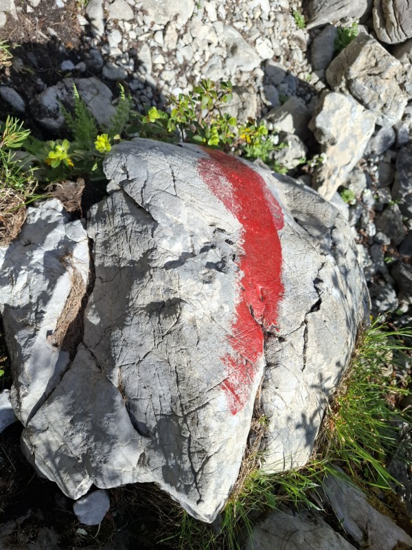Kennzeichnung Markierung Abstieg Coburger Hütte Richtung Seebensee