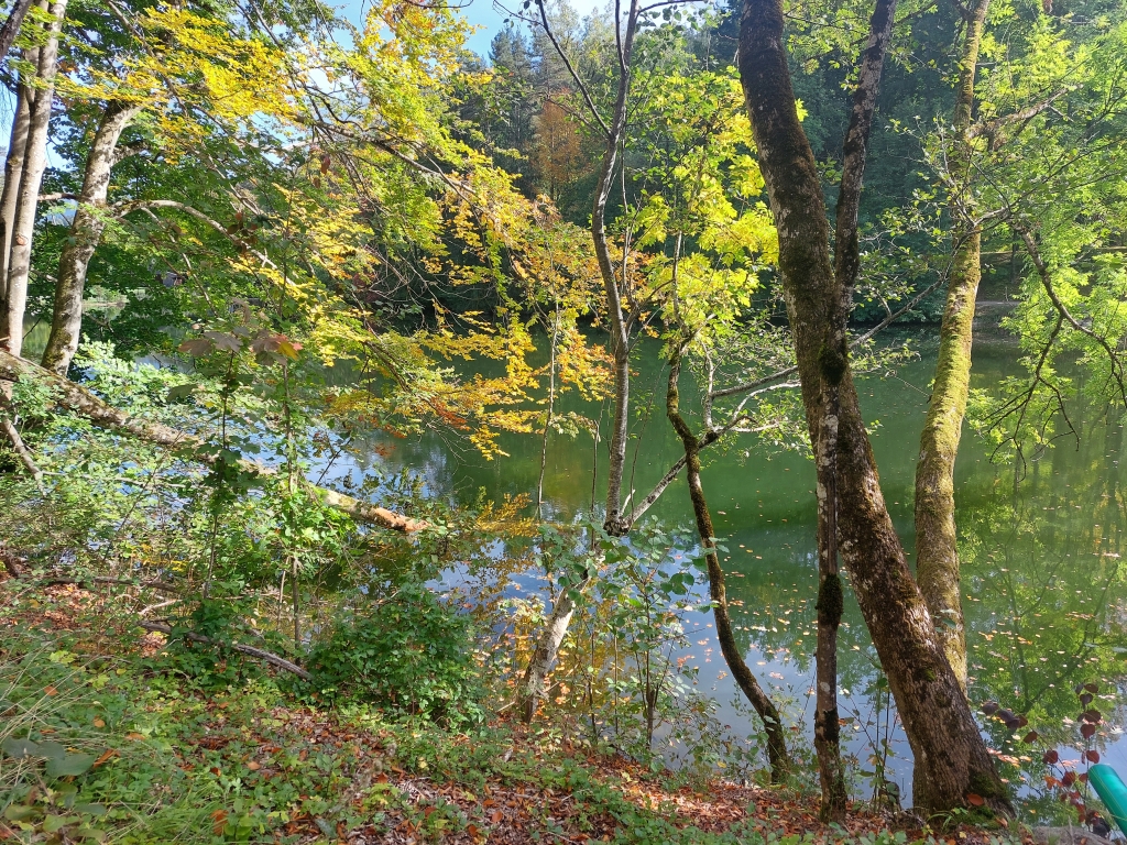 Sonnenstrahlen fallen durch das Laub der Bäume am Ufer des Lechs