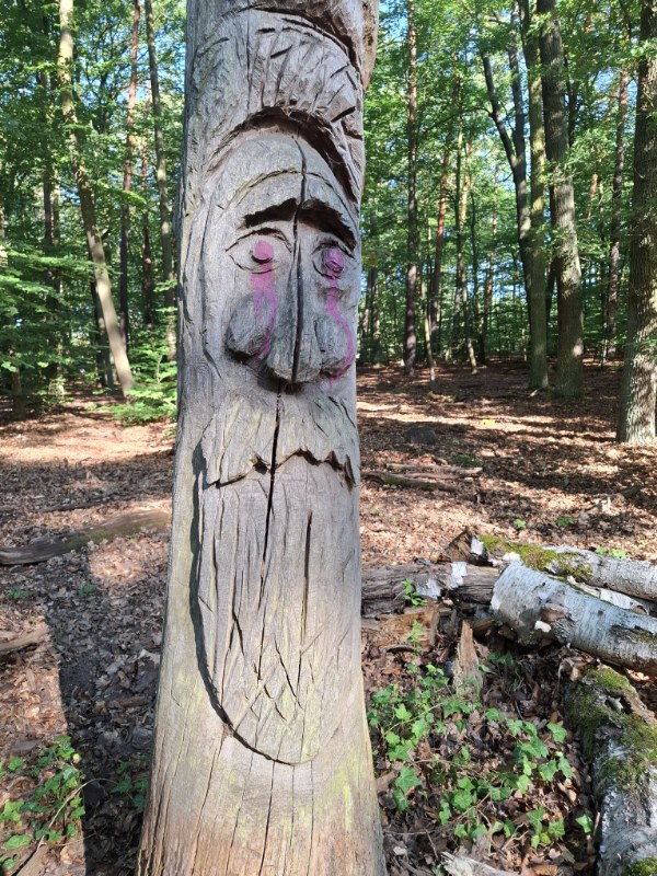 Wanderung-Bahnhof-Berlin-Wansee-Düppeler-Forst-Griebnitzsee
