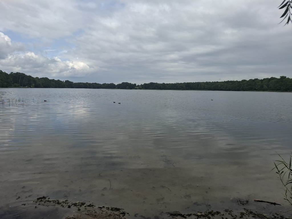 Todnitzsee