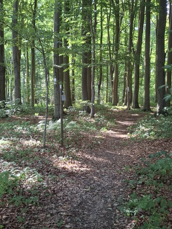 Begräbniswald Eckernförde Küstenfrieden