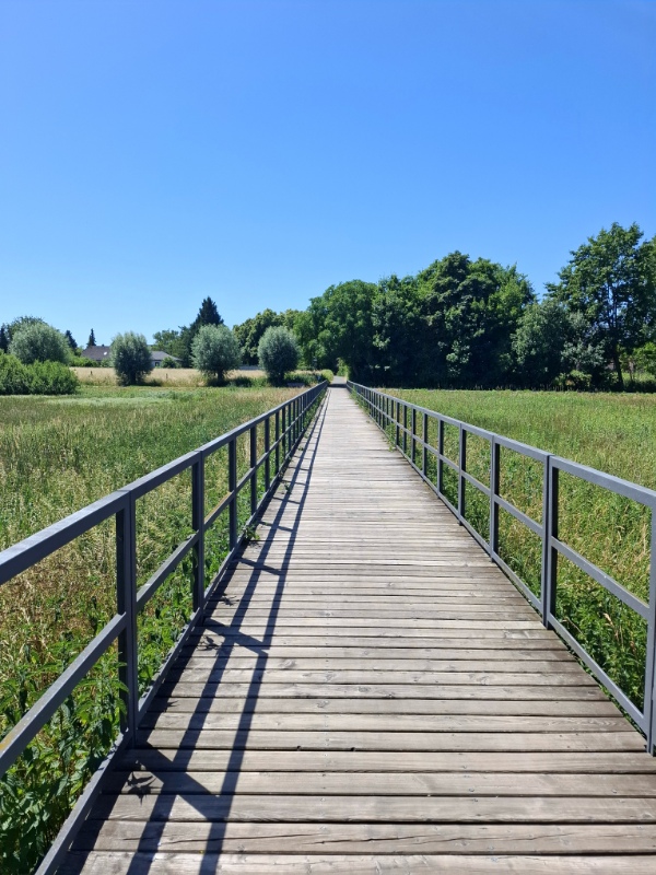 Holzsteg Staaken 