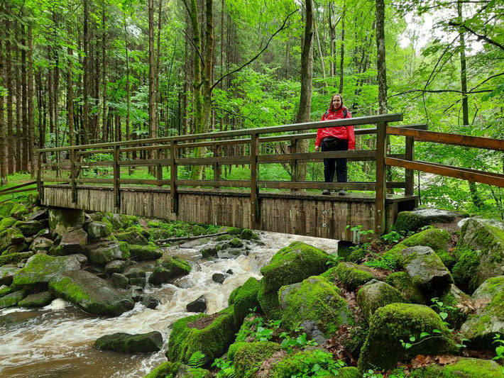 Eine schmale Holzbrücke führt über den plätschernden Saußbach im dichten Wald