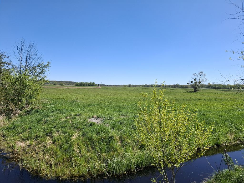 Siegbundwiesen 