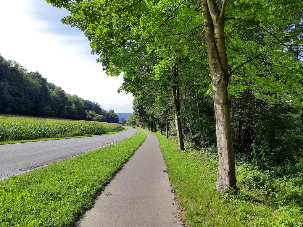 Ein asphaltierter Wanderweg, der sonnig zwischen grünen Bäumen und weiten Feldern im Odenwald verläuft