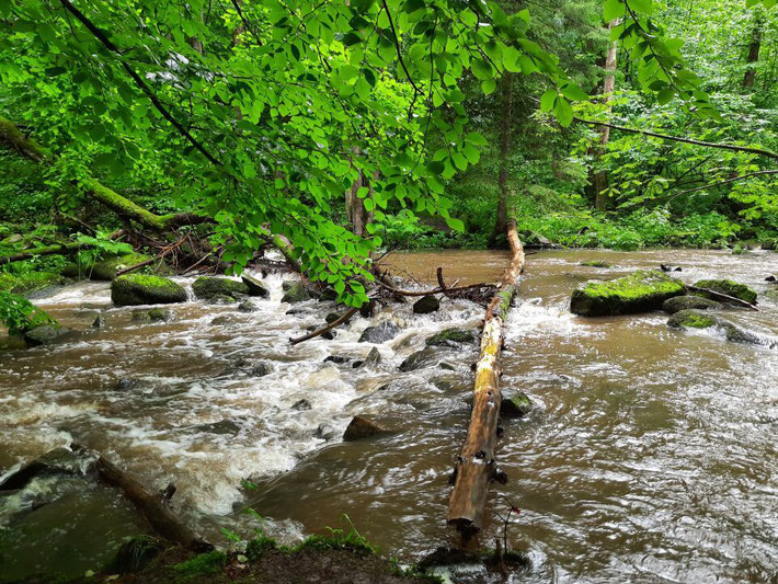 Ein kleiner Wasserfall ergießt sich über Felskanten in ein natürliches Becken