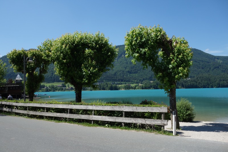 Die gepflegte See-Promenade mit schattenspendenden Bäumen in Fuschl
