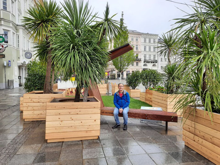 Mediterranes Flair in Linz mit Palmen in Kübeln vor einem Stadtgebäude