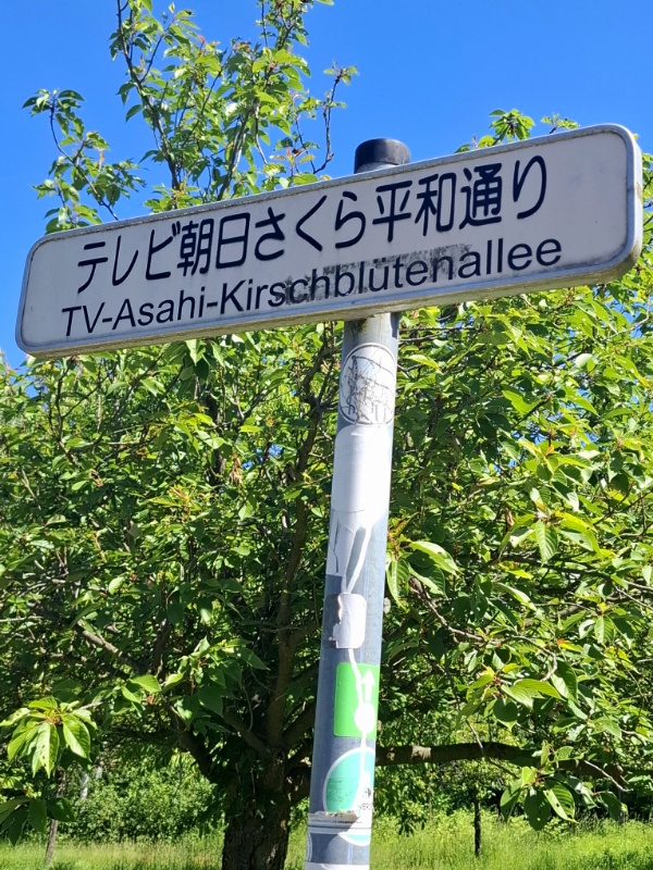 Lichterfelde Süd - Alpengipfel Marienfelde - Kirschblütenallee